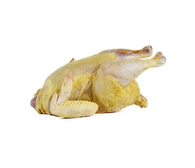 POLLO AMARILLO COREN